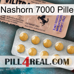 Rhino 7000 Pill 41